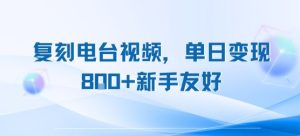 复刻电台视频，单日变现8张+新手友好，长期可做-网创资源