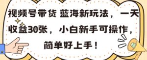 视频号带货蓝海新玩法，一天收益3张，小白新手可操作，简单好上手!-网创资源
