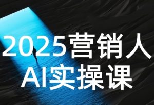 2025营销人Al实操课，AI营销抢跑实战，从Prompt到方案，效率碾压同行-网创资源