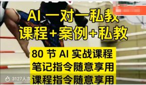 AI指令实战课，课程+案例，80节AI实战课程，笔记指令随意享用，课程指令随意享用（更新7月）-网创资源