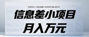 信息差小项目：国内外视频代下载，项目操作简单零成本零门槛月入过万-网创资源