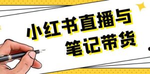 小红书直播与笔记带货：选品、上架、笔记写作、视频剪辑及直播话术等-网创资源