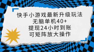 （14166期）快手小游戏最新版升级玩法，新风口，无脑单机日入40+，可批量放大，小…-网创资源