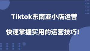 Tiktok东南亚小店运营，快速掌握实用的运营技巧！-网创资源