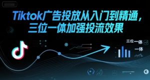 Tiktok广告投放从入门到精通，三位一体加强投流效果-网创资源