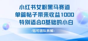 小红书女粉黑马赛道单篇帖子带来收益1k+，特别适合0基础的小白-网创资源