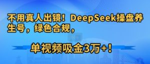 不用真人出镜！DeepSeek操盘养生号，绿色合规，单视频吸金3W+!-网创资源