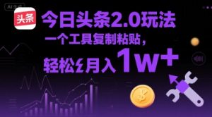 今日头条2.0玩法，一个工具复制粘贴，轻松月入1w+-网创资源