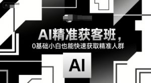 AI精准获客班，0基础小白也能快速获取精准人群-网创资源