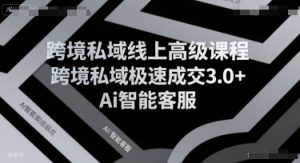 跨境私域线上高级课程，跨境私域极速成交3.0+Ai智能客服-网创资源