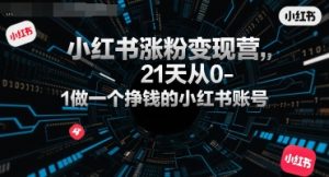小红书涨粉变现营，21天从0-1做一个挣钱的小红书账号-网创资源