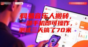 网易音乐人搬砖，一部手机即可操作，测试三天搞了70米-网创资源