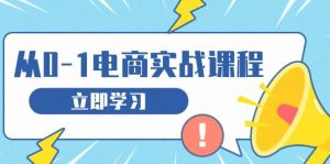 从零做电商实战课程，教你如何获取访客、选品布局，搭建基础运营团队-网创资源