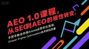 AEO 1.0 课程，从SEO到AE0的基命性转变，手把手教会你用AnswerEngineOptimization技术抢回流量-网创资源