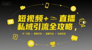 短视频+直播私域引流全攻略，IP打造 +视频引流 +直播引流 +私域沉淀-网创资源