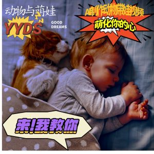 AI制作动物与萌娃互动视频，瞬间萌化你的心，粉丝大米一起收货！-网创资源