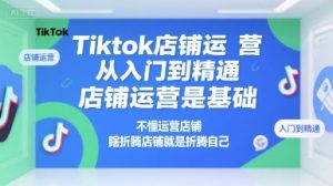 Tiktok店铺运营从入门到精通，店铺运营是基础，不懂运营店铺，瞎折腾店铺就是折腾自己-网创资源