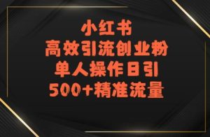 小红书高效引流创业粉，单人操作日引500+精准流量-网创资源