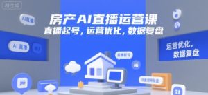 房产AI直播运营课，直播起号，运营优化，数据复盘-网创资源