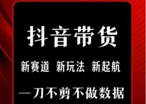 抖音短视频一刀不剪带货，不剪辑，不直播，每天发个视频，等着出单获取带货佣金-网创资源