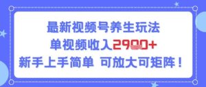 视频号养生玩法，单视频收入2.9k，新手上手简单-网创资源