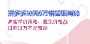 拼多多18天8万销售额揭秘：高客单价策略，避免价格战，日销过万不是难题-网创资源