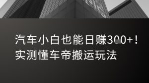 汽车小白也能日入3张！实测懂车帝搬运玩法-网创资源