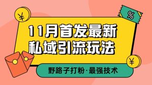 11月首发最新私域引流玩法，自动克隆爆款一键改写截流自热一体化 日引300+精准粉-网创资源