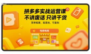 拼多多实战运营课，不讲废话只讲干货，简单粗暴，能落地，可复制-网创资源