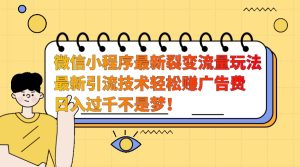 微信小程序最新裂变流量玩法，时间自由收益高轻松赚广告费，日入过千不是梦！-网创资源