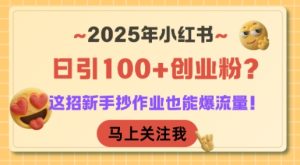 2025年小红书日引100+创业粉？这招新手抄作业也能爆流量！-网创资源