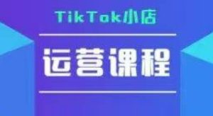 TikTok小店运营实操课，TK​小店运营实操+疑难答疑-网创资源