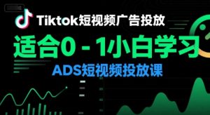 Tiktok短视频广告投放，适合0-1小白学习ADS短视频投放课-网创资源