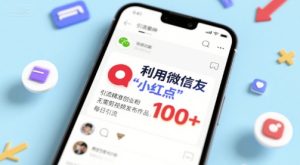 利用微信朋友圈”小红点”功能，引流精准创业粉，无需剪辑视频发布作品，单日引流100+-网创资源