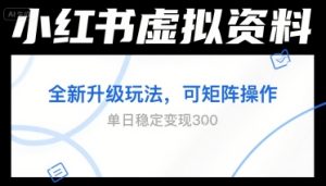 小红书虚拟资料全新升级玩法，可矩阵操作，单日稳定变现3张-网创资源