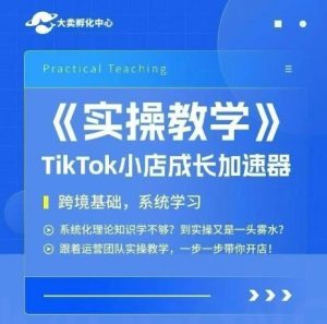 大卖家孵化中心TikTok实操课，TikTok小店成长加速器，跨境基础系统学习，一步一步带你开店-网创资源
