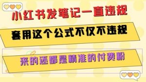 小红书发笔记一直违规，套用这个公式不仅不违规，来的还都是精准的付费粉-网创资源