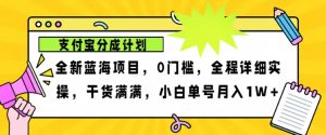 2024年下半年新风口，支付宝分成计划项目玩法，轻松月入1w+-网创资源