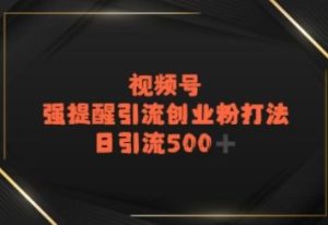 视频号强提醒引流，日引流500+精准创业粉？-网创资源