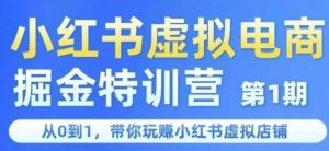 小红书虚拟电商掘金特训营第1期，从0到1，带你玩转小红书虚拟店铺-网创资源