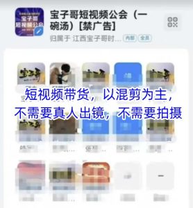 宝子哥头部团队短视频带货，以混剪为主，不需要真人出镜，不需要拍摄【更新6月】-网创资源