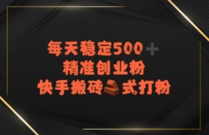 快手搬砖式打粉，每天稳定500+精准创业粉-网创资源