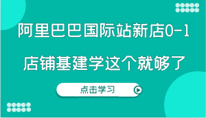 阿里巴巴国际站新店0-1，个人实践实操录制从0-1基建，店铺基建学这个就够了-网创资源