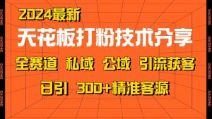 天花板打粉技术分享，野路子玩法 曝光玩法免费矩阵自热技术日引2000+精准客户-网创资源