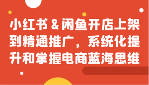 小红书&闲鱼开店上架到精通推广，系统化提升和掌握电商蓝海思维-网创资源