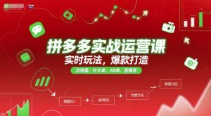 拼多多实战运营课，实时玩法，爆款打造，改销量，补大单，AB单，直播等（更新2025月）-网创资源