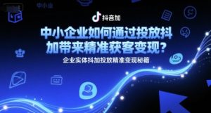 中小企业如何通过投放抖加带来精准获客变现？企业实体抖加投放精准变现秘籍-网创资源