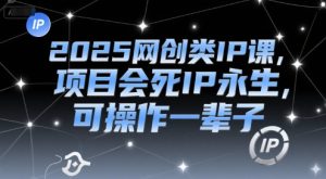 2025网创类IP课，项目会死IP永生，可操作一辈子-网创资源