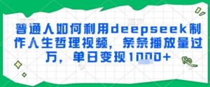 普通人如何利用deepseek制作人生哲理视频，条条播放量过W，单日变现多张-网创资源