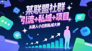 某联盟社群，引流+私域+项目，从新人小白到私域大神-网创资源
